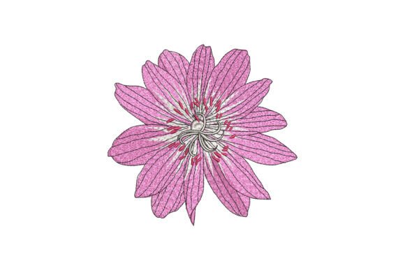 Radiant Star Petals Embroidery Review